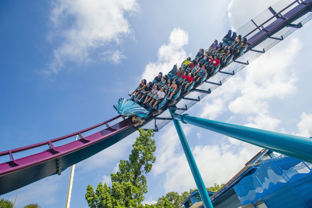 Mako at SeaWorld Orlando – Magical Getaway Blog