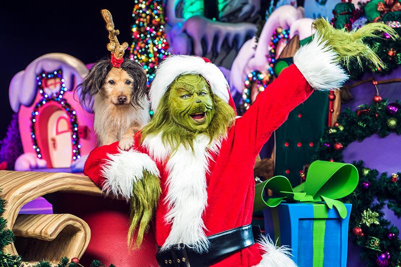 universal-orlando-holidays-grinchmas-dog-c