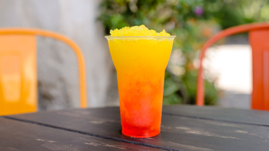 Animal Kingdom Treat 3