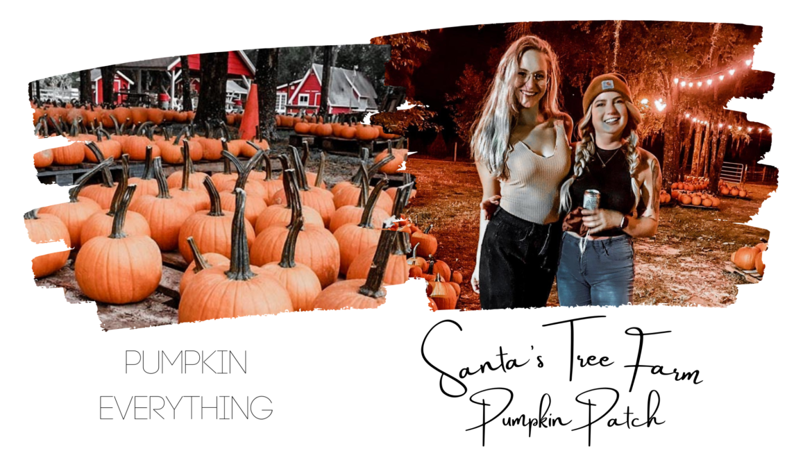 Santas Tree Farm Magical Getaway Blog