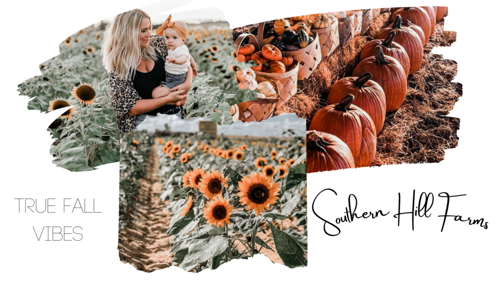 Southern Hills Farm is one of the best perfect Orlando Fall Instagram Locations