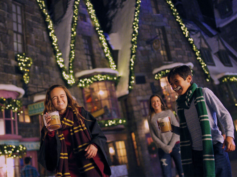 Harry Potter World at Universal for the Holidays celebration