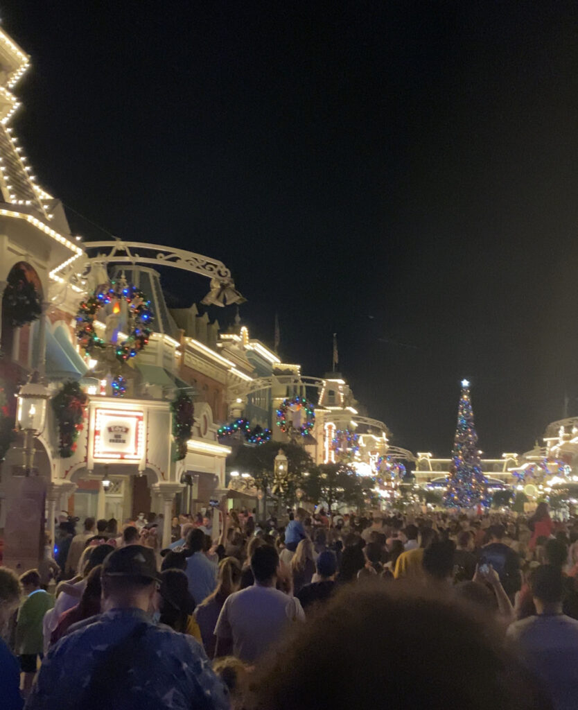 Leaving With The Massive Crowd At Magic Kingdom Is Something I Won’t Do Again In Disney World
