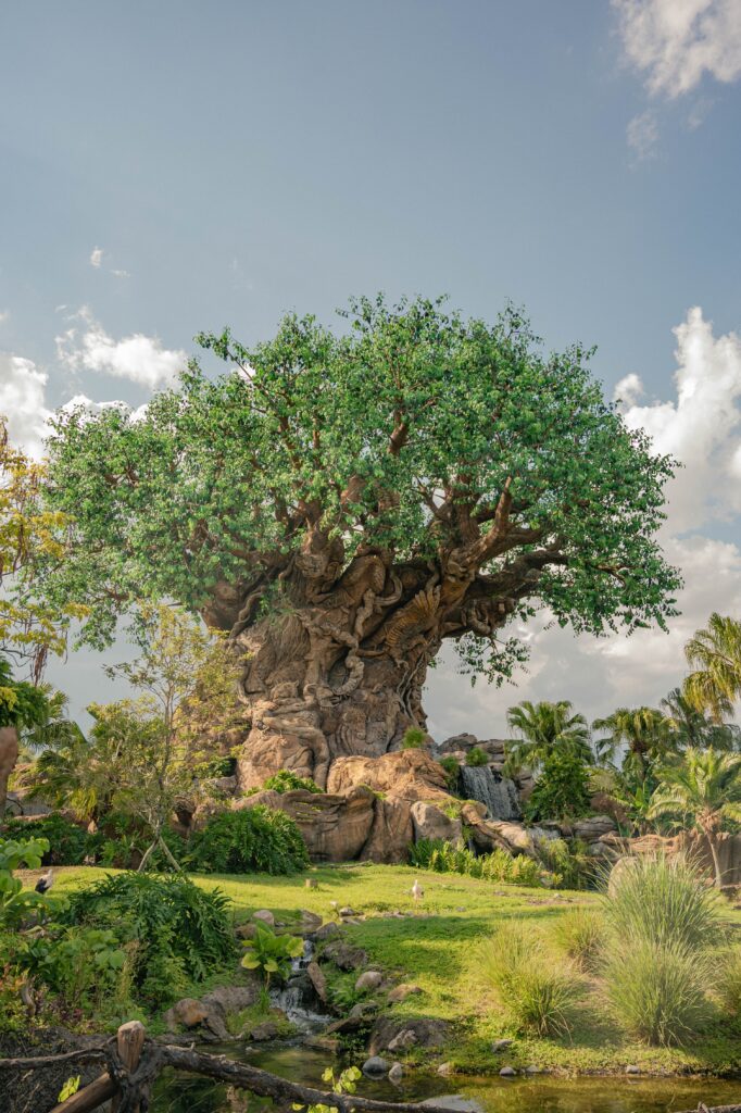 Tree of life at Animal Kingdom - Straws are just some of Things You Can’t Bring Into This Disney Park
