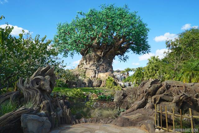 Disneys_Animal_Kingdom_Tree_of_Life_view_