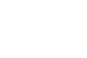 title_christmas_sale